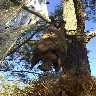 vampire.jpg (31853 bytes)